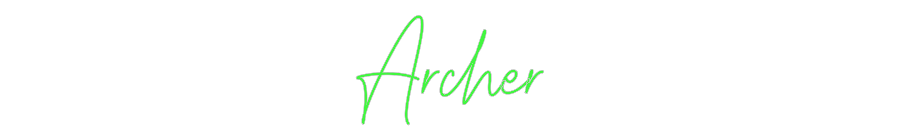 Custom Neon: Archer